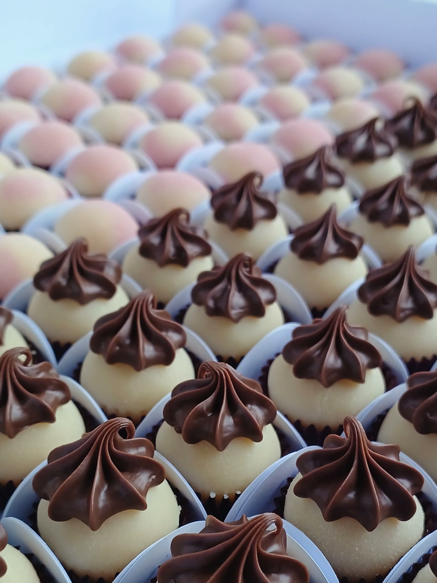 Bandeja com cento de brigadeiros de chocolate e ninho